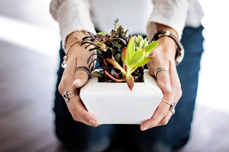 Indoor Botanical Spaces