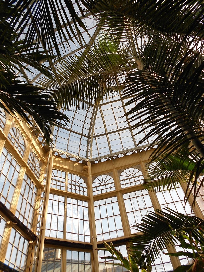 Conservatory of Flowers