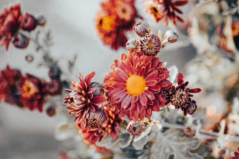 Floral Decor